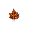 MAPLE LEAF